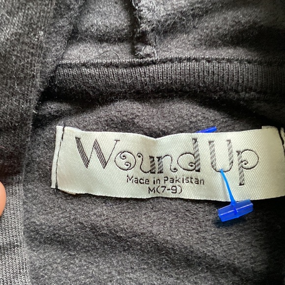 Wound Up “Sorry I Have Plans With A Few Episodes” Hoodie SIZE M - Picture 2 of 4